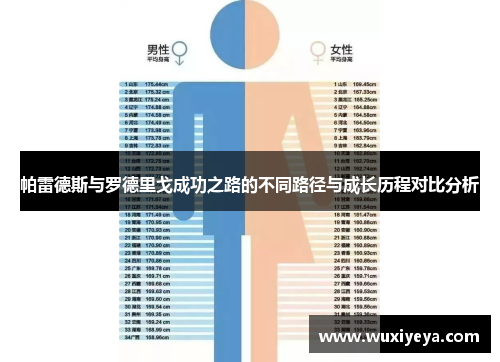 帕雷德斯与罗德里戈成功之路的不同路径与成长历程对比分析 帕雷德斯与罗德里戈成功之路的不同路径与成长历程对比分析